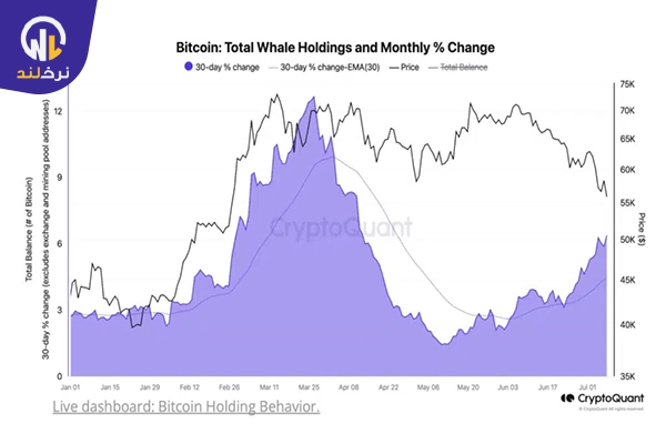 نمودار خرید بیت کوین توسط نهنگ ها