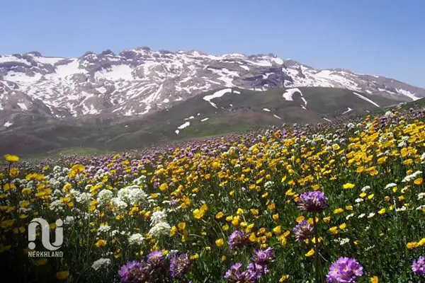 جاذبه‌های گردشگری اقلیم سرد و کوهستانی