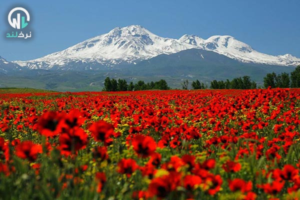 سبلان؛ آتشفشانی عظیم با چشمه‌های شفابخش